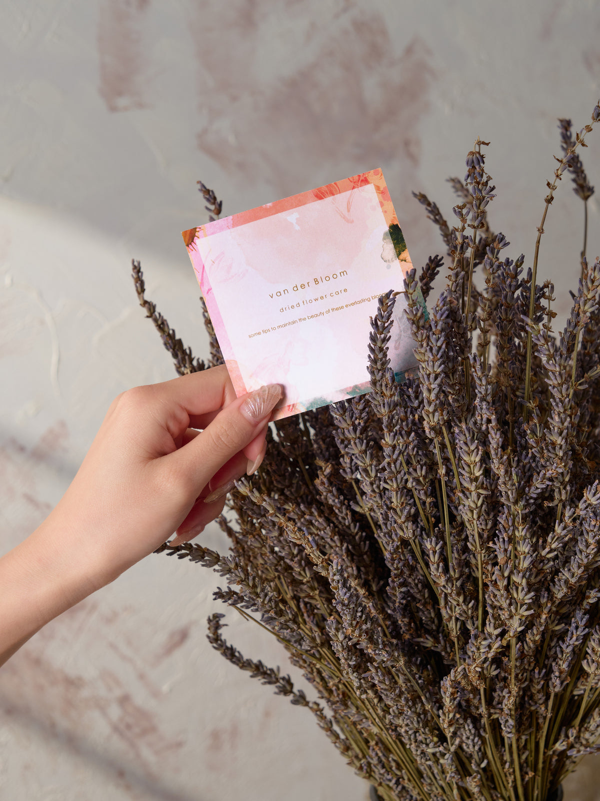 Linen Whisper