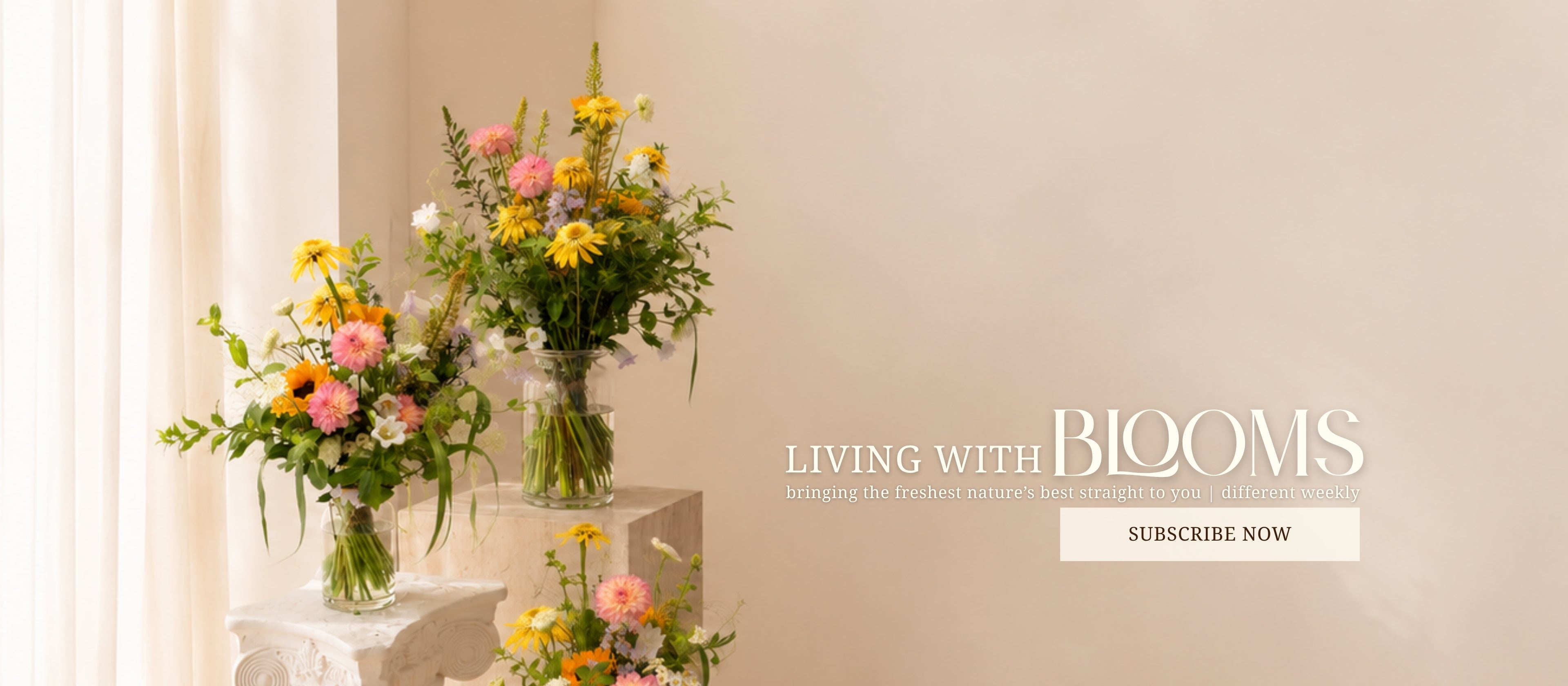 Living with Blooms | Subscribe Now